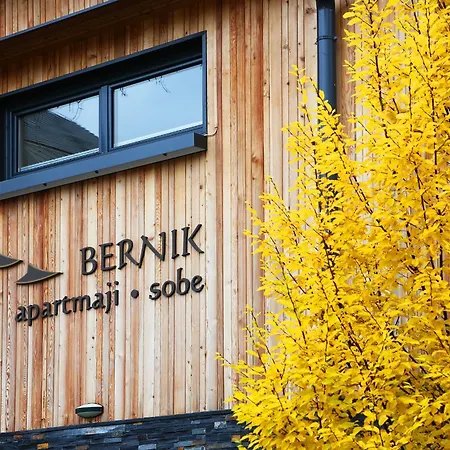 Apartments And Rooms Bernik Kranjska Gora Exterior photo