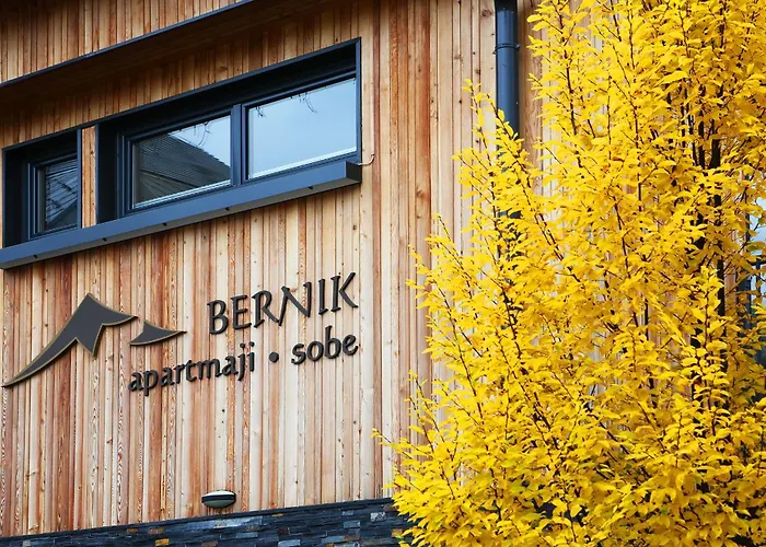 Apartments And Rooms Bernik